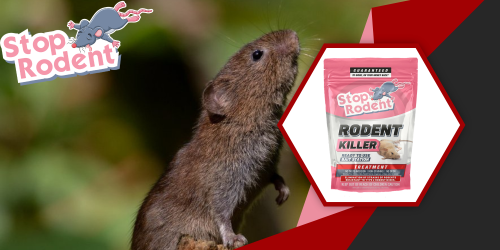 Roedores e áreas úmidas : A importância do uso de um produto anti-roedores