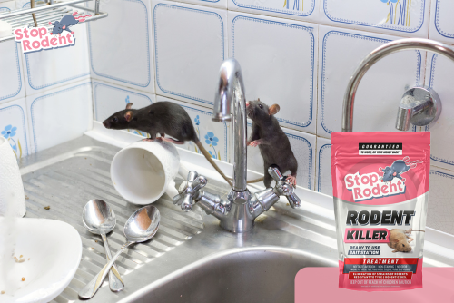 Como garantir o uso seguro do veneno de rato para proteger eficazmente a sua casa?