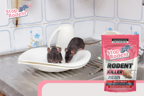 Comparação de produtos anti-roedores: O que nos diferencia
